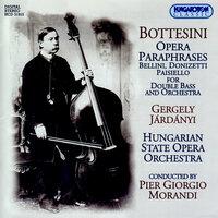 Bottesini: Works for Double Bass, Vol. 2 - Opera Paraphrases
