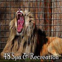 48 Spa & Recreation