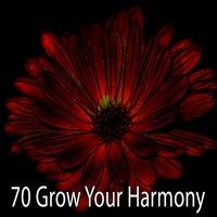 70 Grow Your Harmony