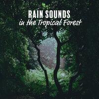 Rain Sounds in the Tropical Forest: The Greatest Nature Sounds with Calmness Meditation, Soul Healing & Body, Take a Deep Breath