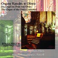 Organy Katedry w Oliwie (The Organ of the Oliwa Cathedral)