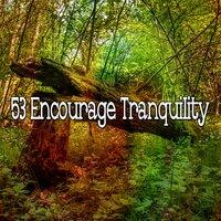 53 Encourage Tranquility