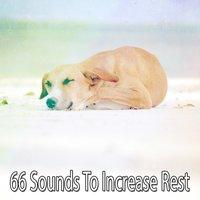 66 Sounds To Increase Rest