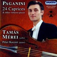 Paganini: 24 Caprices / Brahms: Hungarian Dances Nos. 1 and 7  (Arr. for Cello)