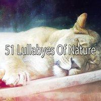 51 Lullabyes Of Nature