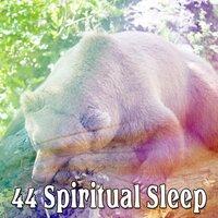 44 Spiritual Sleep