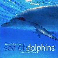 Sea of Dolphins (Musical Soundscapes)