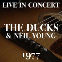Live In Concert The Ducks & Neil Young 1977