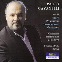Paolo Gavanelli