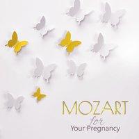 Mozart for Your Pregnancy – Prenatal Classical Music by Mozart for Labor and Delivery