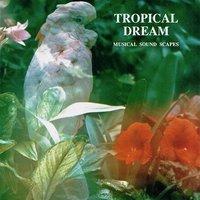 Tropical Dream (Musical Soundscapes)