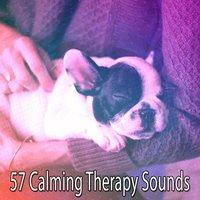 57 Calming Therapy Sounds