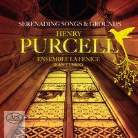 Purcell: Serenading Songs & Grounds