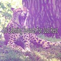 58 Calming Sounds For Just Rest