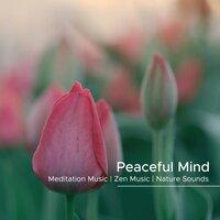 Peaceful Mind - Breathing Exercises, Meditation Music, Zen Music, Nature Sounds for Deep Meditation