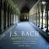 Bach: Motets, BWV 225 - 230