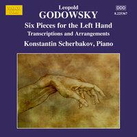 Godowsky: Piano Music, Vol. 13