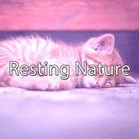 Resting Nature