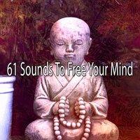 61 Sounds to Free Your Mind