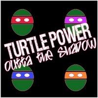 Turtle Power: Outta the Shadow