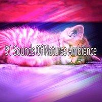 51 Sounds Of Natures Ambience
