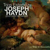 Haydn: Trios pour cors de basset