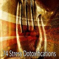 74 Stress Dotoxifications