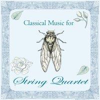 Classical Music for String Quartet