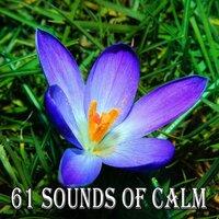 61 Sounds of Calm
