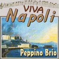Peppino Brio Viva Napoli - Guapparia Catarì