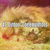 45 Outdoor Contemplations