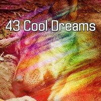 43 Cool Dreams