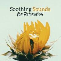 Soothing Sounds for Relaxation – Easy Listening, Best Background New Age to Relax, Stress Relief, Peaceful Melodies
