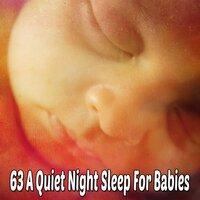 63 A Quiet Night Sleep for Babies