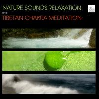 Nature Sounds Relaxation and Tibetan Chakra Meditation - Music for Relaxation Meditation, Deep Sleep, Studying, Healing Massage, Spa, Sound Therapy, Chakra Balancing, Baby Sleep and Yoga