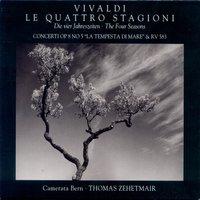 The Four Seasons, Violin Concerto in E Major, RV 269 "Spring": II. Largo