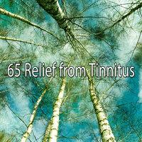 65 Relief from Tinnitus