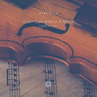 Violin Concerto In A Minor