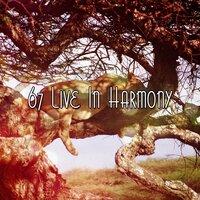 67 Live In Harmony