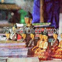 75 Meditation Auras
