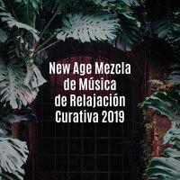 New Age Mezcla de Música de Relajación Curativa 2019