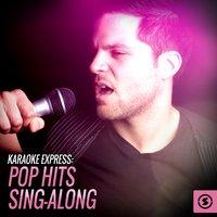 Karaoke Express: Pop Hits Sing - Along