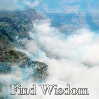 Find Wisdom