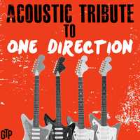 Acoustic Tribute to One Direction